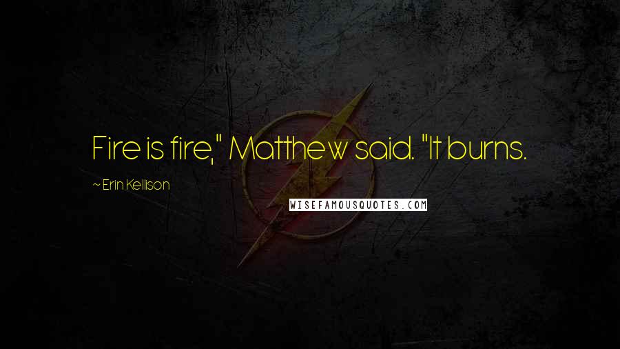 Erin Kellison Quotes: Fire is fire," Matthew said. "It burns.