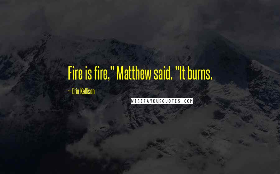 Erin Kellison Quotes: Fire is fire," Matthew said. "It burns.