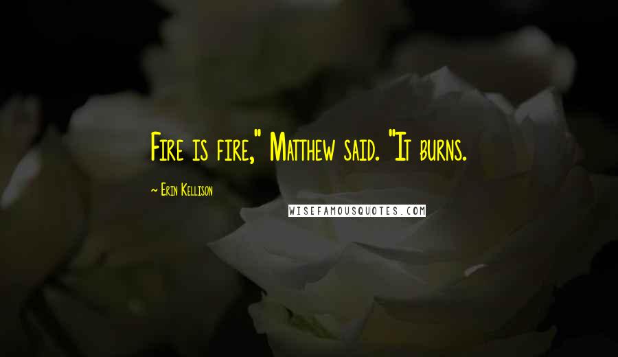 Erin Kellison Quotes: Fire is fire," Matthew said. "It burns.