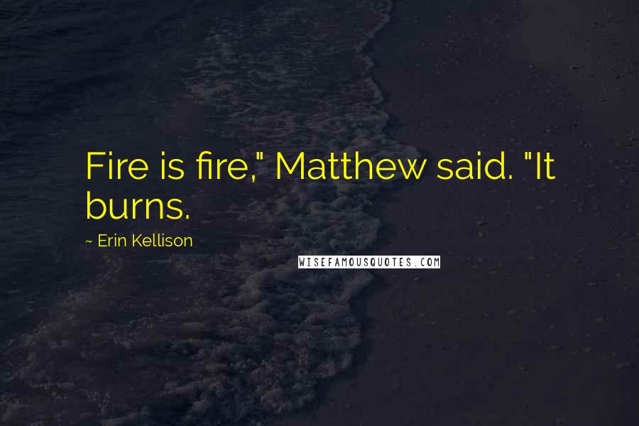 Erin Kellison Quotes: Fire is fire," Matthew said. "It burns.