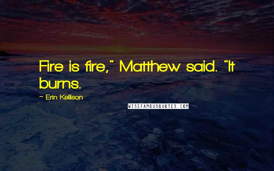 Erin Kellison Quotes: Fire is fire," Matthew said. "It burns.