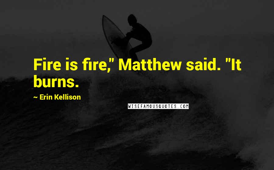 Erin Kellison Quotes: Fire is fire," Matthew said. "It burns.