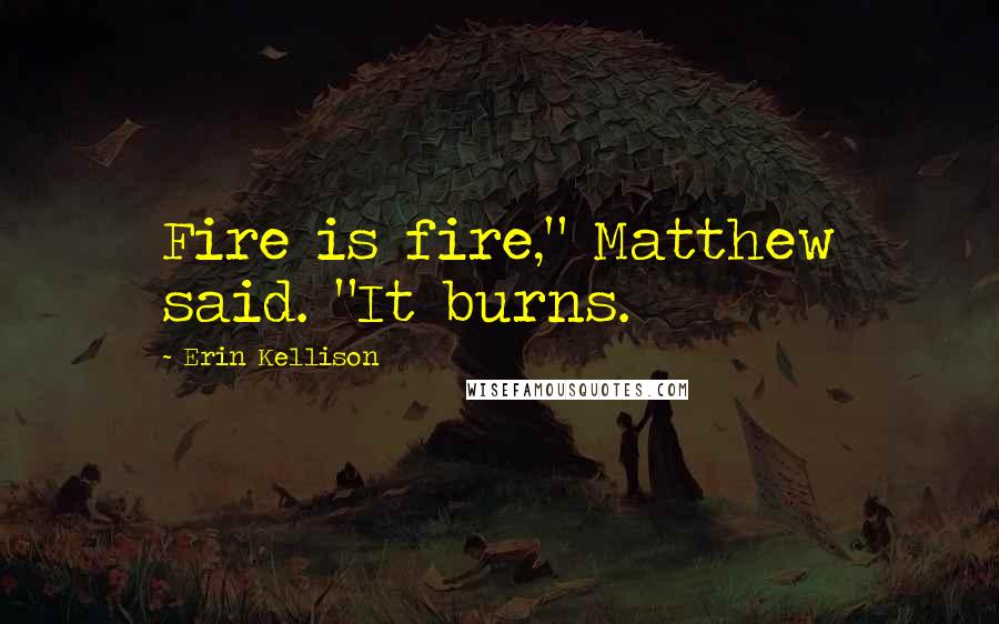 Erin Kellison Quotes: Fire is fire," Matthew said. "It burns.