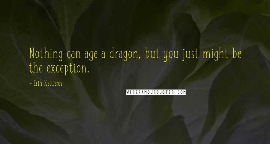 Erin Kellison Quotes: Nothing can age a dragon, but you just might be the exception.