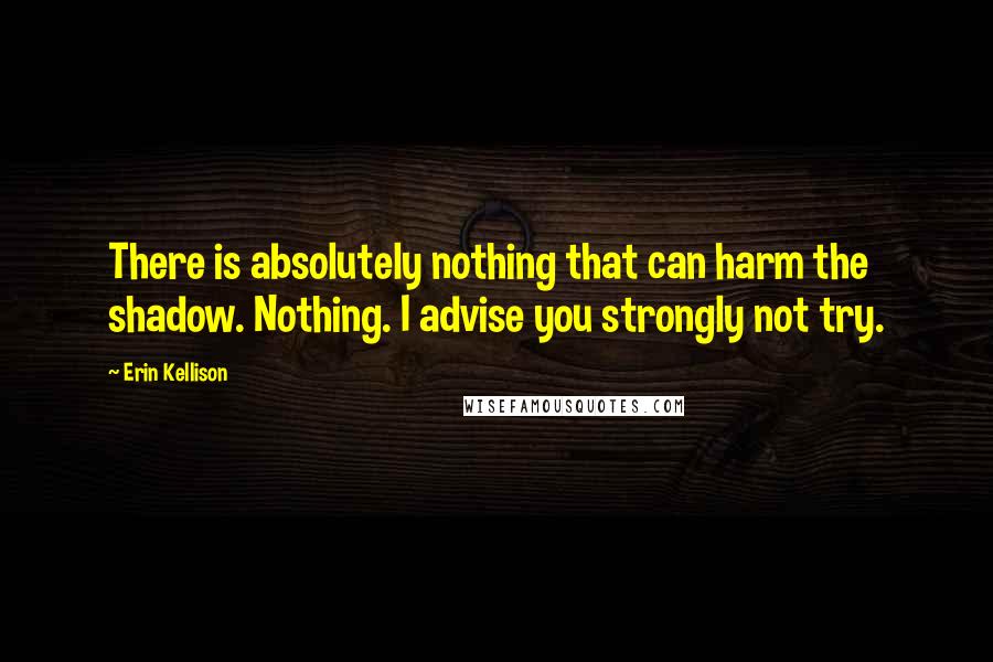 Erin Kellison Quotes: There is absolutely nothing that can harm the shadow. Nothing. I advise you strongly not try.