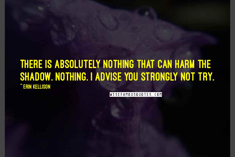 Erin Kellison Quotes: There is absolutely nothing that can harm the shadow. Nothing. I advise you strongly not try.