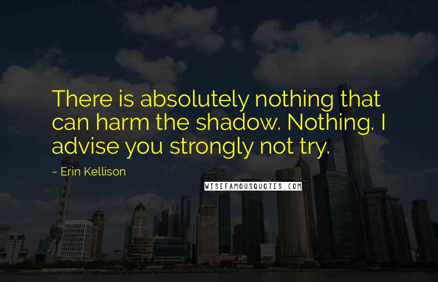 Erin Kellison Quotes: There is absolutely nothing that can harm the shadow. Nothing. I advise you strongly not try.