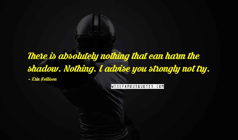 Erin Kellison Quotes: There is absolutely nothing that can harm the shadow. Nothing. I advise you strongly not try.