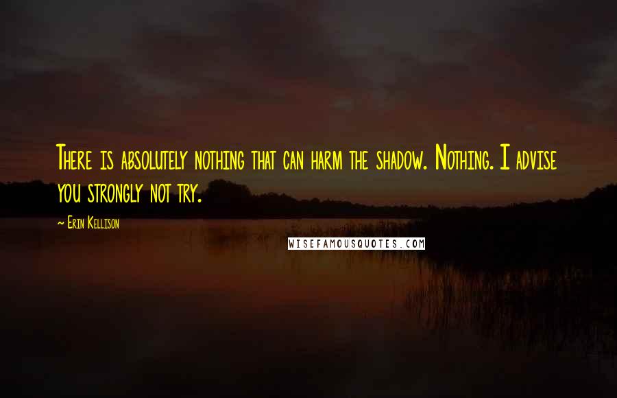 Erin Kellison Quotes: There is absolutely nothing that can harm the shadow. Nothing. I advise you strongly not try.