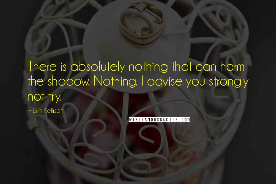 Erin Kellison Quotes: There is absolutely nothing that can harm the shadow. Nothing. I advise you strongly not try.