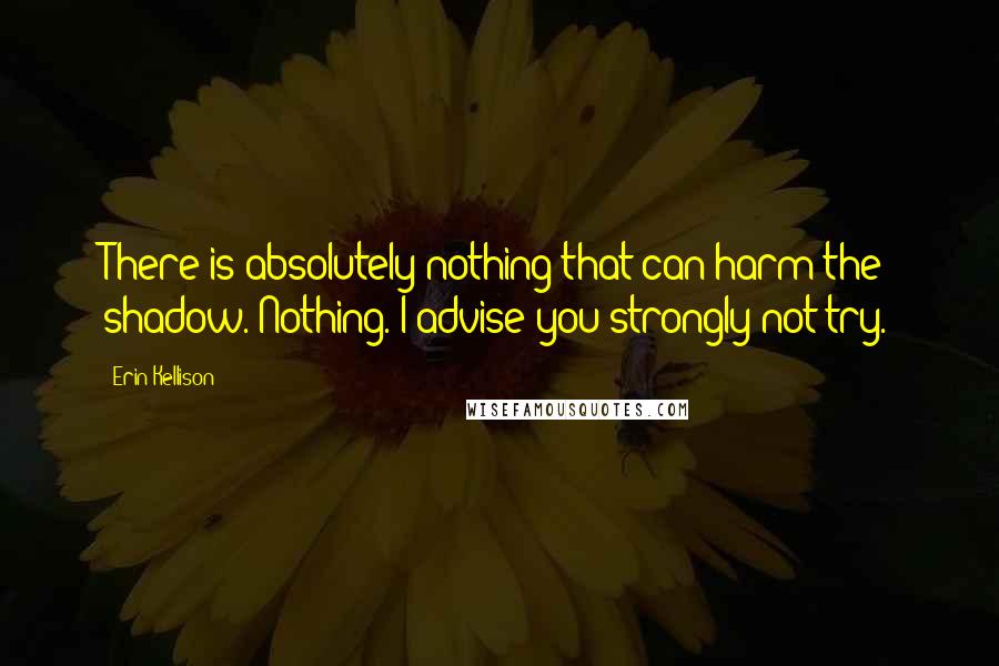 Erin Kellison Quotes: There is absolutely nothing that can harm the shadow. Nothing. I advise you strongly not try.