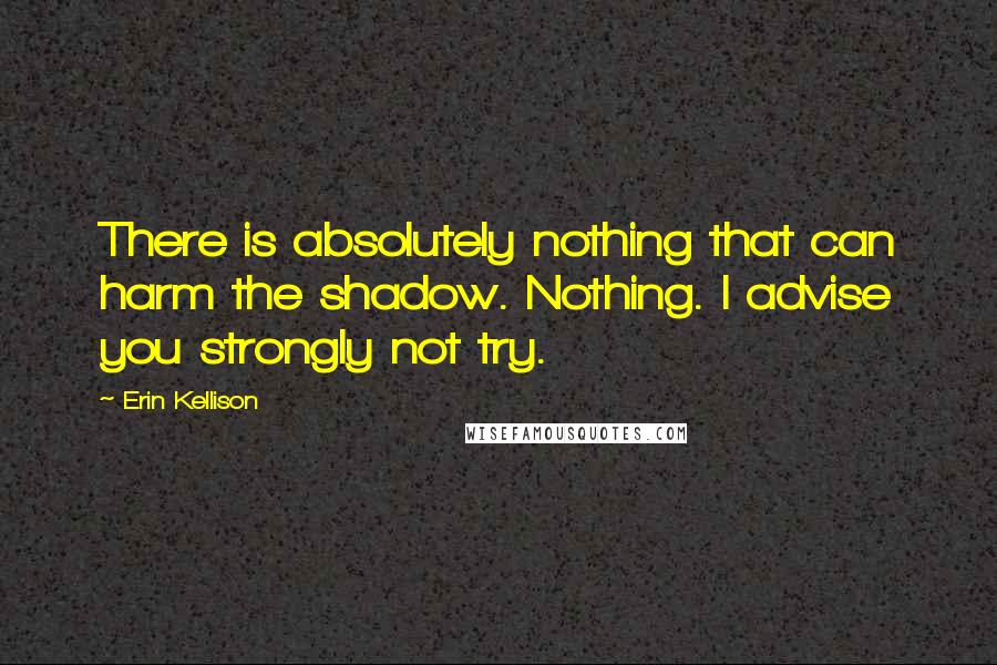 Erin Kellison Quotes: There is absolutely nothing that can harm the shadow. Nothing. I advise you strongly not try.
