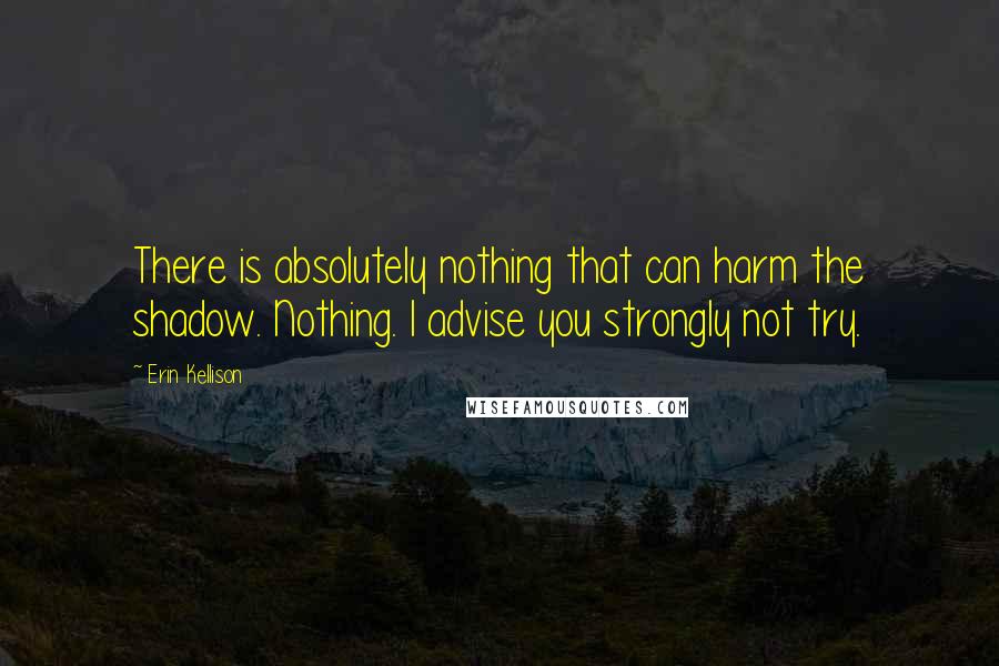 Erin Kellison Quotes: There is absolutely nothing that can harm the shadow. Nothing. I advise you strongly not try.