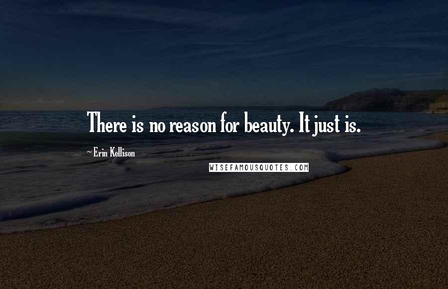 Erin Kellison Quotes: There is no reason for beauty. It just is.