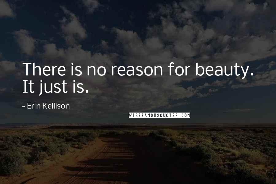 Erin Kellison Quotes: There is no reason for beauty. It just is.