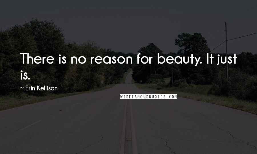 Erin Kellison Quotes: There is no reason for beauty. It just is.