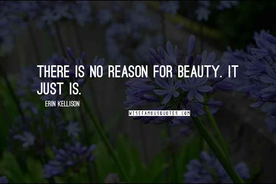 Erin Kellison Quotes: There is no reason for beauty. It just is.