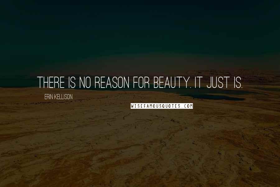 Erin Kellison Quotes: There is no reason for beauty. It just is.