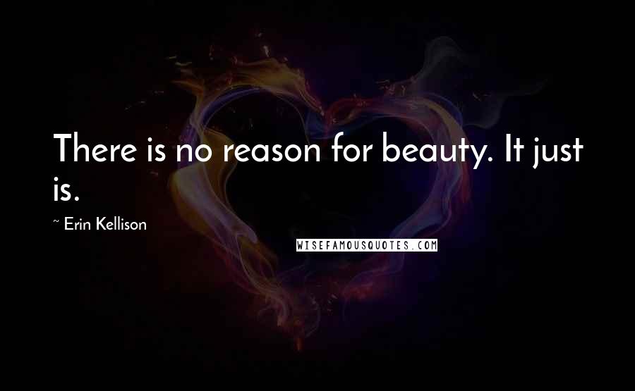 Erin Kellison Quotes: There is no reason for beauty. It just is.