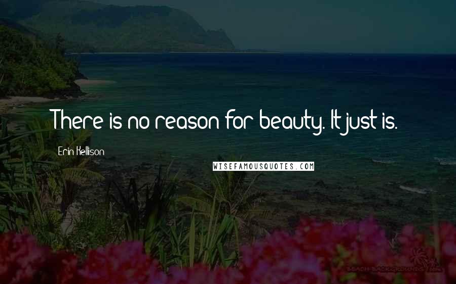 Erin Kellison Quotes: There is no reason for beauty. It just is.