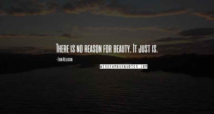 Erin Kellison Quotes: There is no reason for beauty. It just is.