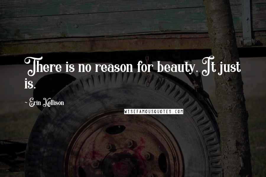 Erin Kellison Quotes: There is no reason for beauty. It just is.