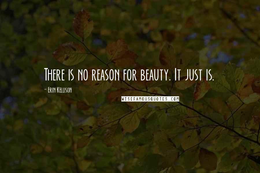 Erin Kellison Quotes: There is no reason for beauty. It just is.