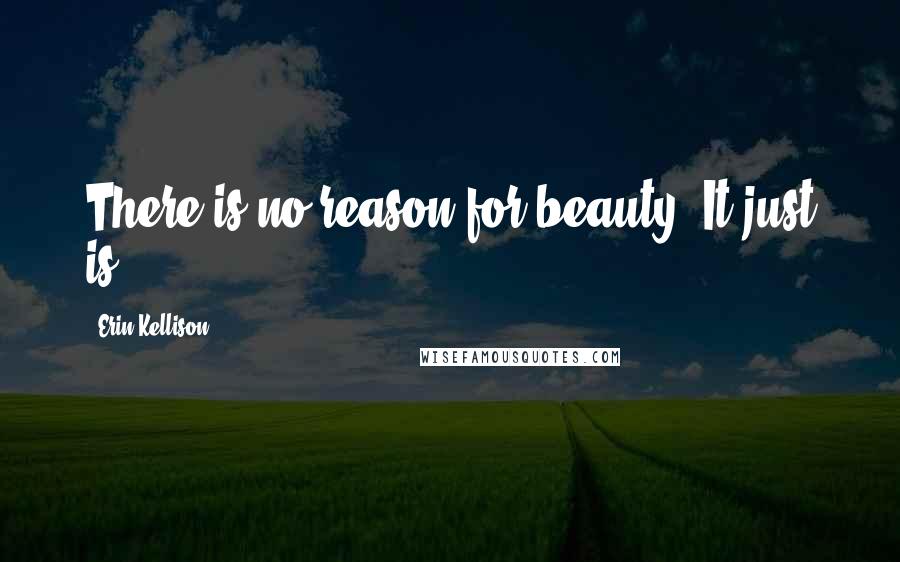 Erin Kellison Quotes: There is no reason for beauty. It just is.