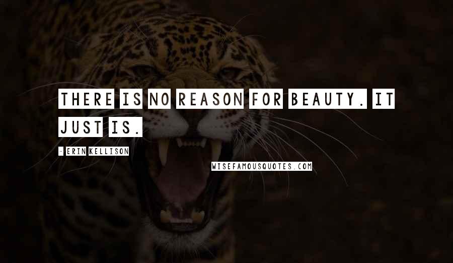 Erin Kellison Quotes: There is no reason for beauty. It just is.