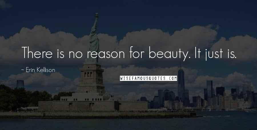 Erin Kellison Quotes: There is no reason for beauty. It just is.