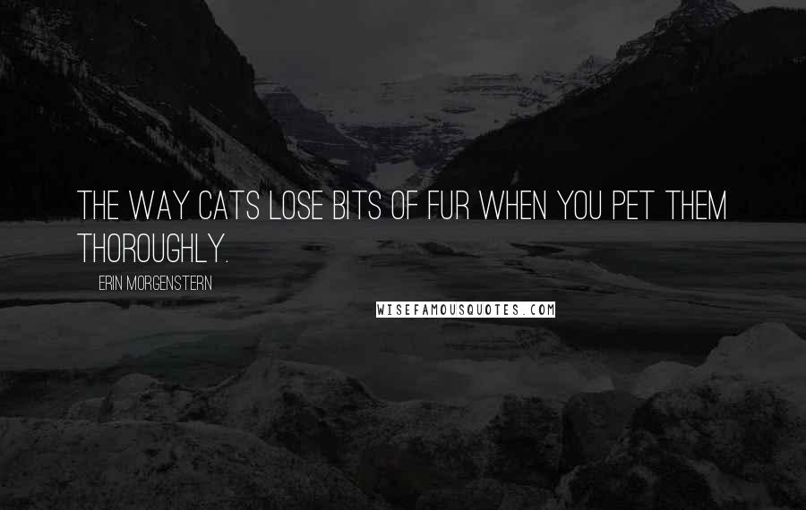 Erin Morgenstern Quotes: The way cats lose bits of fur when you pet them thoroughly.