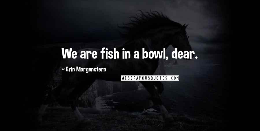 Erin Morgenstern Quotes: We are fish in a bowl, dear.