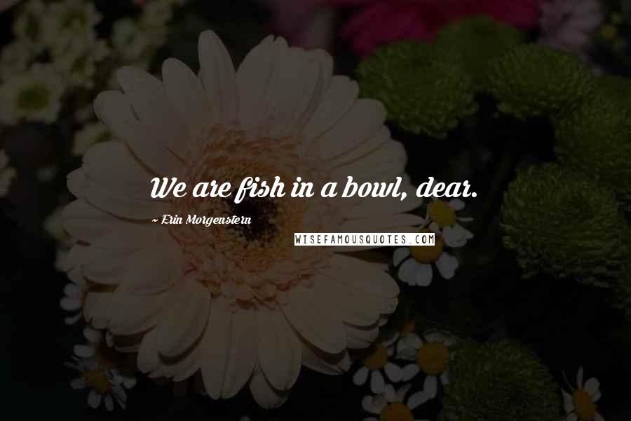 Erin Morgenstern Quotes: We are fish in a bowl, dear.