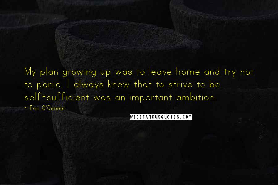 Erin O'Connor Quotes: My plan growing up was to leave home and try not to panic. I always knew that to strive to be self-sufficient was an important ambition.