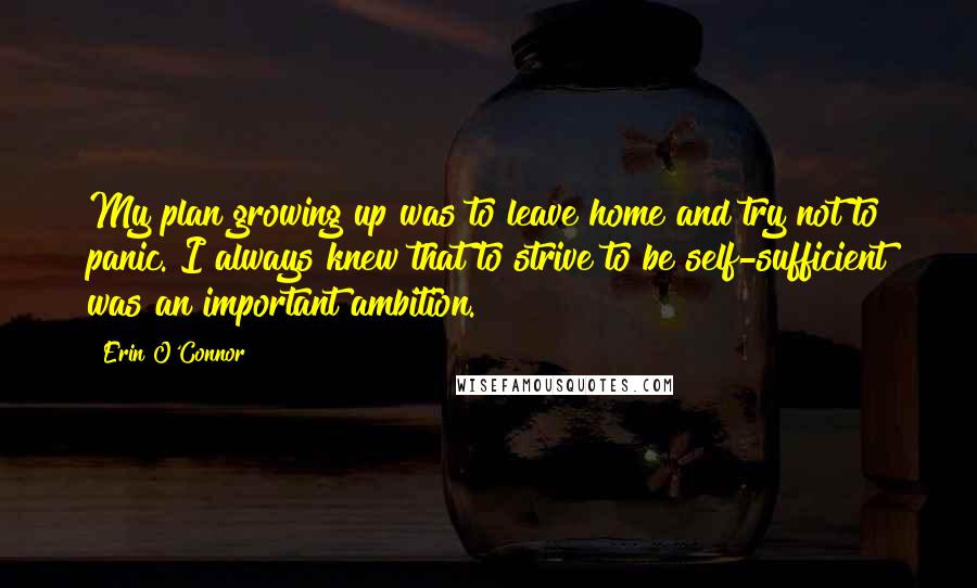 Erin O'Connor Quotes: My plan growing up was to leave home and try not to panic. I always knew that to strive to be self-sufficient was an important ambition.