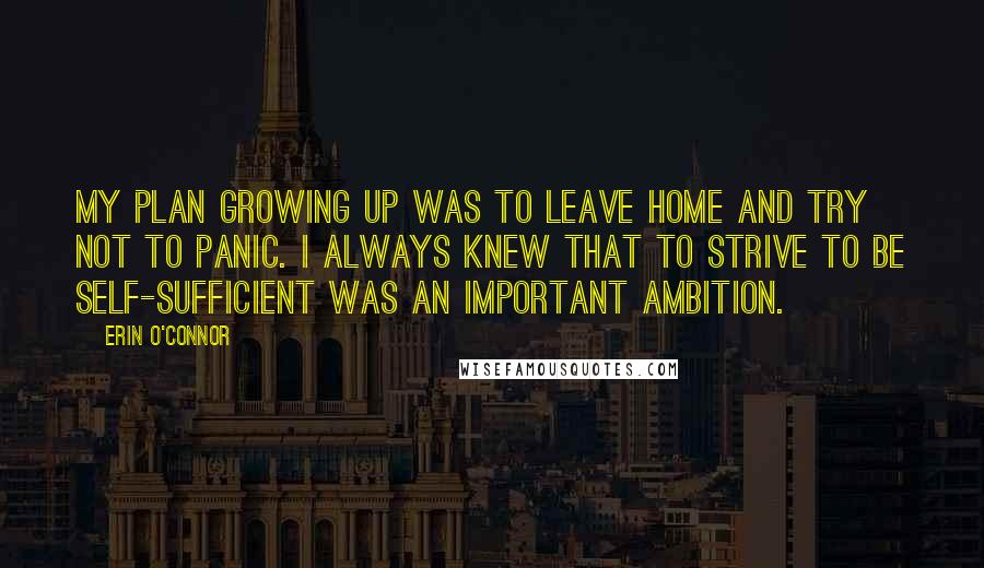 Erin O'Connor Quotes: My plan growing up was to leave home and try not to panic. I always knew that to strive to be self-sufficient was an important ambition.