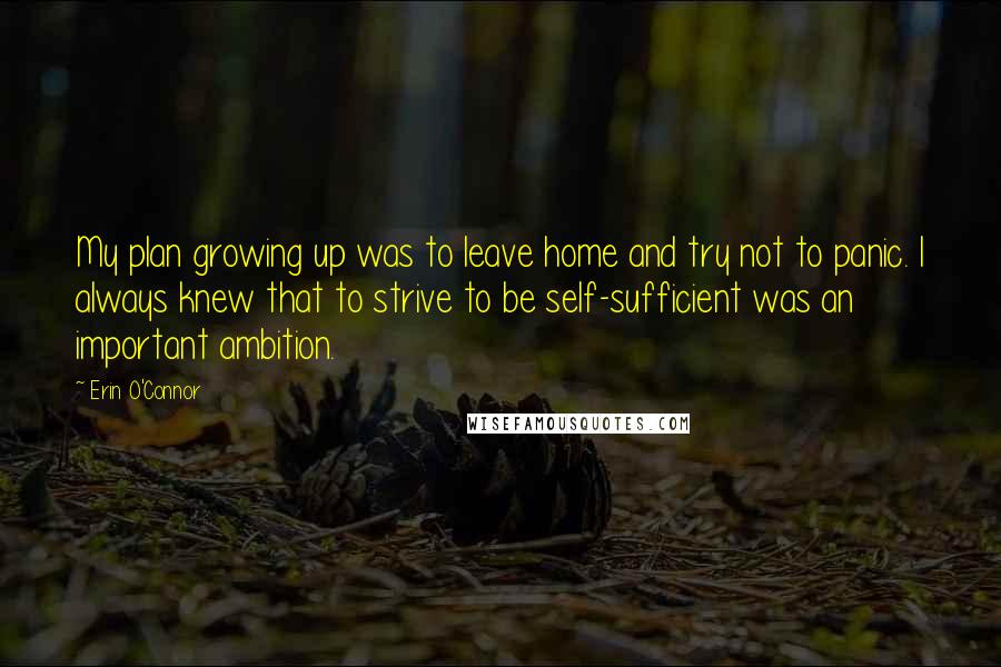 Erin O'Connor Quotes: My plan growing up was to leave home and try not to panic. I always knew that to strive to be self-sufficient was an important ambition.