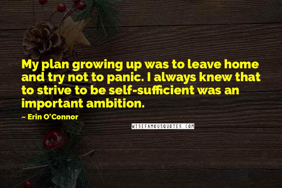 Erin O'Connor Quotes: My plan growing up was to leave home and try not to panic. I always knew that to strive to be self-sufficient was an important ambition.