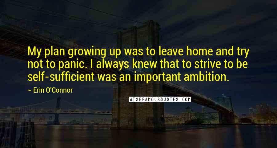 Erin O'Connor Quotes: My plan growing up was to leave home and try not to panic. I always knew that to strive to be self-sufficient was an important ambition.