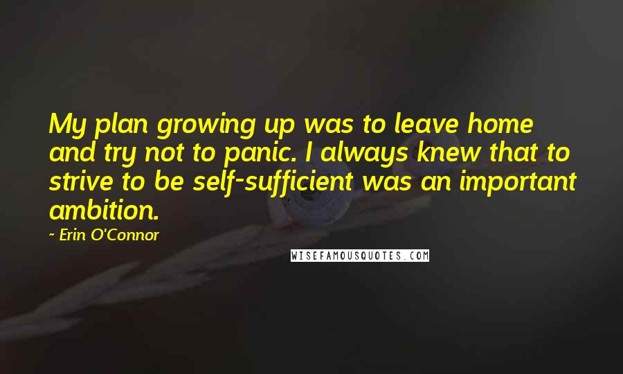 Erin O'Connor Quotes: My plan growing up was to leave home and try not to panic. I always knew that to strive to be self-sufficient was an important ambition.