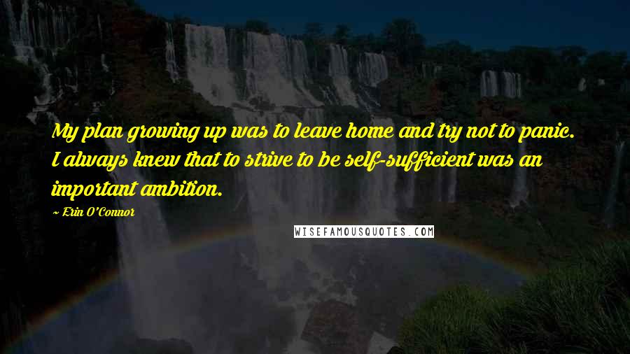 Erin O'Connor Quotes: My plan growing up was to leave home and try not to panic. I always knew that to strive to be self-sufficient was an important ambition.