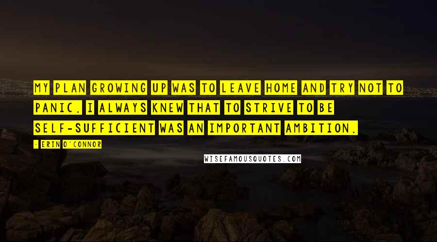 Erin O'Connor Quotes: My plan growing up was to leave home and try not to panic. I always knew that to strive to be self-sufficient was an important ambition.