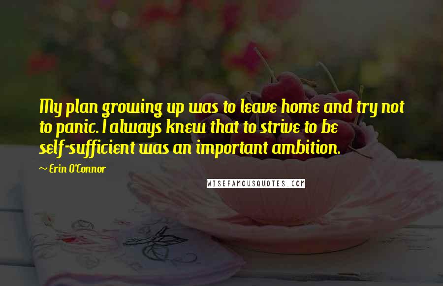 Erin O'Connor Quotes: My plan growing up was to leave home and try not to panic. I always knew that to strive to be self-sufficient was an important ambition.