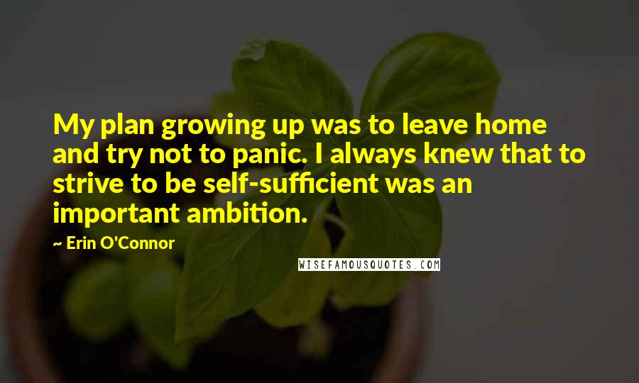 Erin O'Connor Quotes: My plan growing up was to leave home and try not to panic. I always knew that to strive to be self-sufficient was an important ambition.