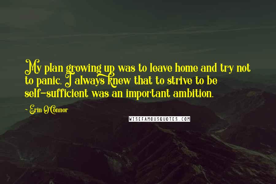 Erin O'Connor Quotes: My plan growing up was to leave home and try not to panic. I always knew that to strive to be self-sufficient was an important ambition.