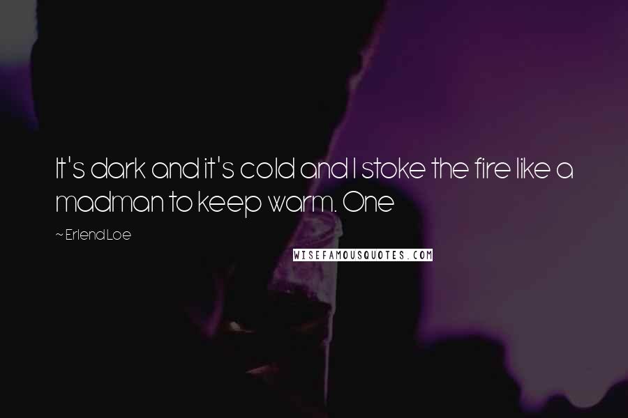 Erlend Loe Quotes: It's dark and it's cold and I stoke the fire like a madman to keep warm. One