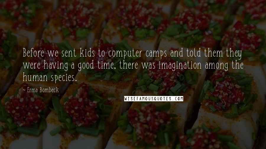 Erma Bombeck Quotes: Before we sent kids to computer camps and told them they were having a good time, there was imagination among the human species.