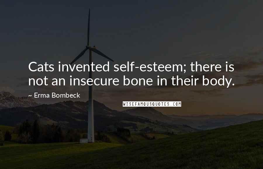 Erma Bombeck Quotes: Cats invented self-esteem; there is not an insecure bone in their body.