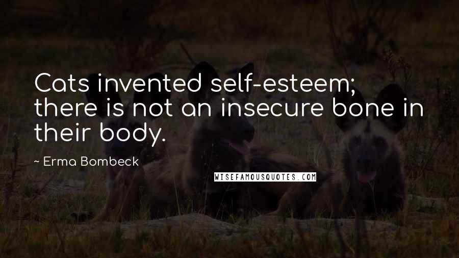 Erma Bombeck Quotes: Cats invented self-esteem; there is not an insecure bone in their body.