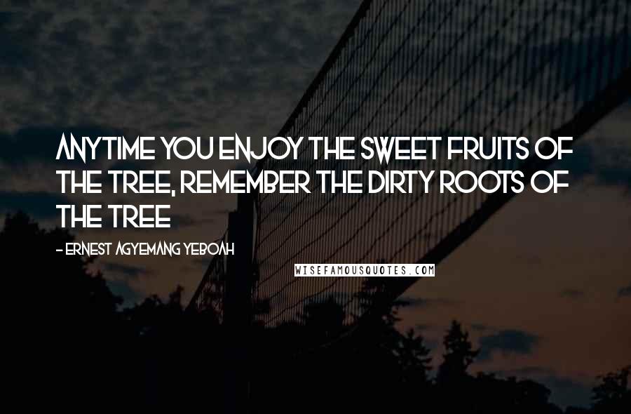 Ernest Agyemang Yeboah Quotes: anytime you enjoy the sweet fruits of the tree, remember the dirty roots of the tree